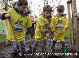 Kinderen verhogen biodiversiteit tijdens Boomfeestdag
