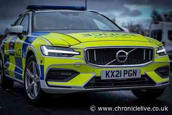 A19 hit-and-run arrest on suspicion of causing death by dangerous driving following collision near Sunderland