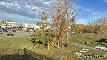 Council hears from Calgarians concerned about proposed Glenmore Landing redevelopment