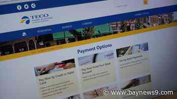 Florida regulators vote to allow TECO rate hike