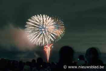 Jaarwisseling zonder vuurwerk in Berlaar: “Zo voorkomen we heel wat mensen- en dierenleed”