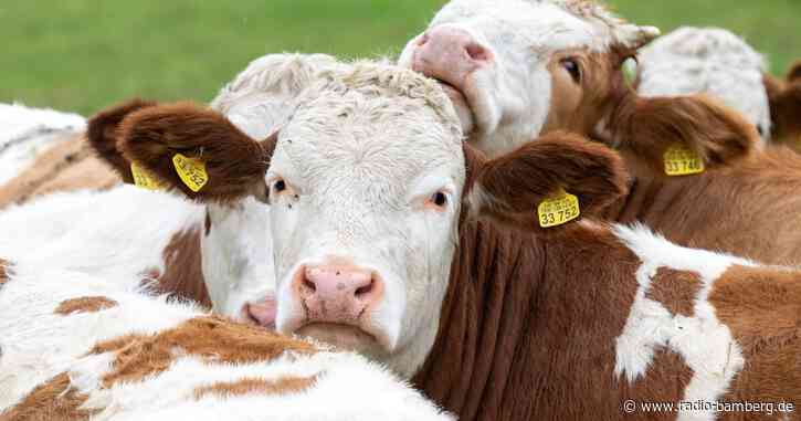 Immer weniger Bauernhöfe in Bayern