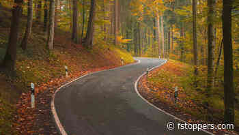 How to Transform a Fall Photo Using Lightroom