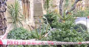 Thieves foiled as they tried to steal Christmas trees