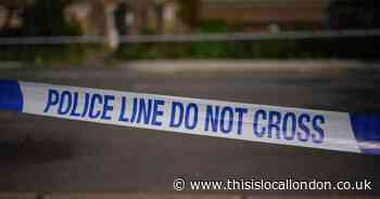 Met Police officer denies driving carelessly in royal escort crash which killed woman