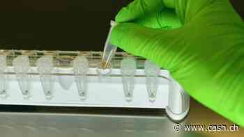 Moderna und BioNTech im Kampf gegen Krebs - Aktien mit Potenzial?