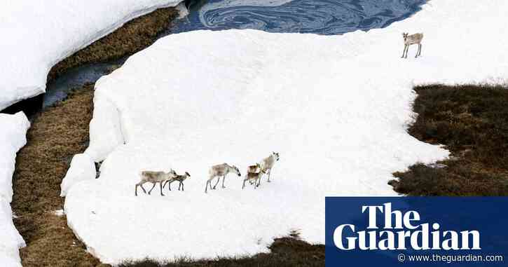 ‘Straight in harm’s way’: can Trump open up Alaska’s 19m-acre refuge for drilling?