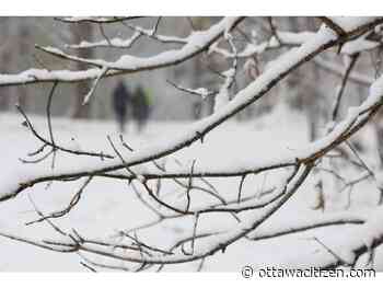 Ottawa sees first real snow of the season
