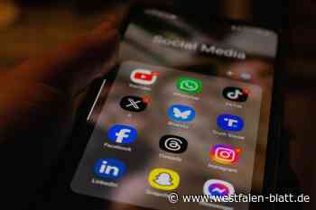 Sex-Täter missachtet Social-Media-Verbot