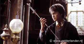 Bol.com haalt mogelijk gevaarlijk Harry Potter-zwaard uit de verkoop na terugroepactie Japan