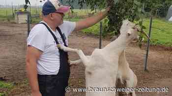 Gegen Einsamkeit: Gifhorner nehmen über Tiere Kontakt auf