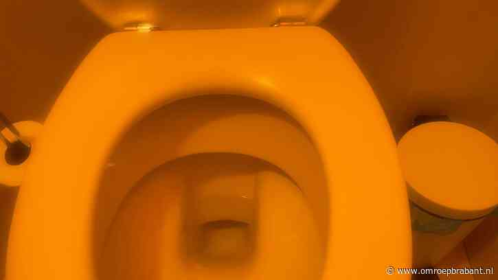 Vrouw stiekem op toilet gefilmd met ingebouwde camera