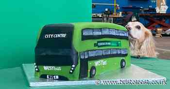 ‘Gimmick’ cake promoting birthday buses scheme that was fed to dog cost taxpayers £120