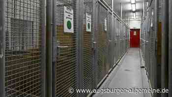 Viele Tiere suchen dringend neue Besitzer