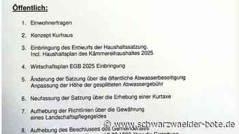 Finanzen in Bad Herrenalb: Zahlenwerk 2025 – es dauert doch noch