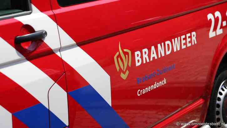 Grote brand bij varkenshouderij, varkens staan nog in stal