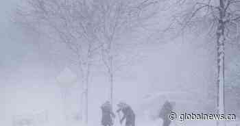 Parts of Ontario hit by weekend storm bracing for even more snow