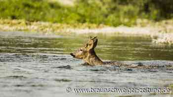 Geister-See taucht 130 Jahre nach Verschwinden wieder auf