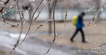 Edmonton among areas in central, northern Alberta under freezing rain warning