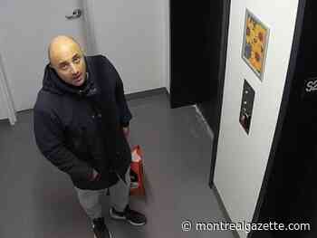 Accused in Brossard triple murder will raise no defence in trial