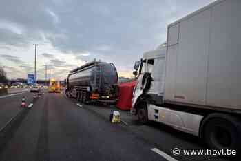 Vrachtwagens botsen op Brusselse Ring: bestuurder (70) uit Leopoldsburg overleden