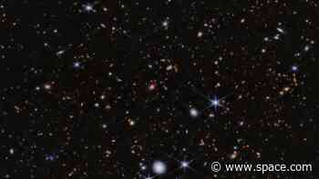 Spiderweb protocluster is filled with baby galaxies, James Webb Space Telescope reveals (image)