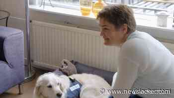 Kippenvel om indrukwekkende shoot met hulphond in Het Perfecte Plaatje