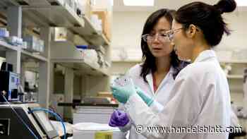 Geldanlage: Bis zu 170 Prozent Kurspotenzial – Drei Alternativen zu Eli Lilly und Novo Nordisk