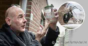 Roel vindt ‘horrorspin’: nadat hij foto deelt met bange buurtgenoten gaat hij op onderzoek uit