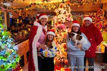 Mira (44) en Peter (42) toveren hun huis opnieuw om tot een winterwonderland: “Aan 136.000 lichtjes ben ik gestopt met tellen”