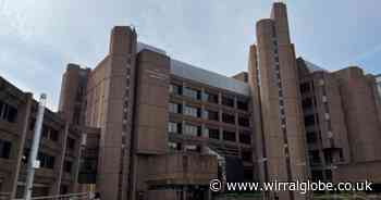 Woman sentenced in court after XL Bully injures victim