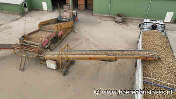 Nederlandse aardappelteelt loopt tegen grenzen aan