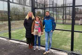 Nieuwe padelvelden in sportcentrum Haneveld klaar tegen kerstvakantie: “De bestaande infrastructuur wordt versterkt”