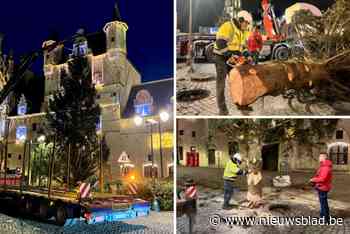 Mechelen zet zijn grootste kerstboom ooit: “Groter dan die van Brussel én Antwerpen”