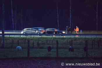 Zwaar fileleed door twee kop-staartbotsingen op E403: meer dan 12 kilometer file