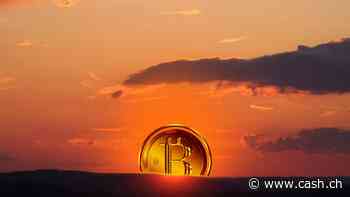 Das Auf und Ab des Bitcoin-Kurses