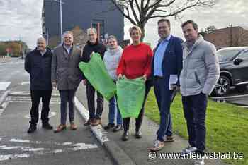 Probleem met meeuwen doet gemeente ophaling van restafval omgooien