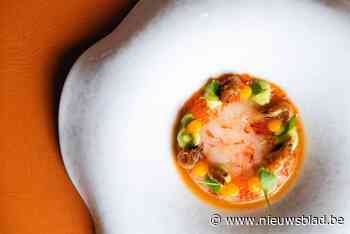 GEPROEFD. Deze Tongerse zaak haalt Nederlandse chef in huis: “Je merkt meteen dat hier niets uit pakjes komt”