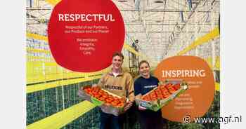 RedStar introduceert vleestomaat Mayra