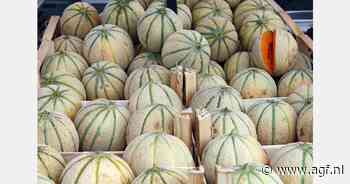 Weersomstandigheden verstoorden Franse meloenenseizoen