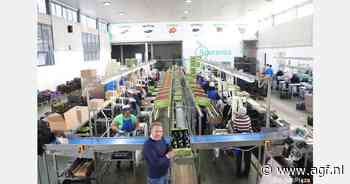 Nieuw pakstation voor aubergineteler op Sicilië