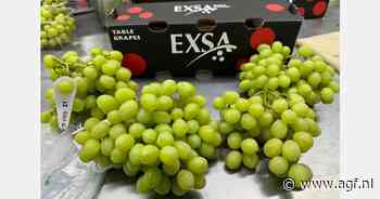 "Britse retailers betalen premie voor luchtvracht om druiven in de schappen te houden"