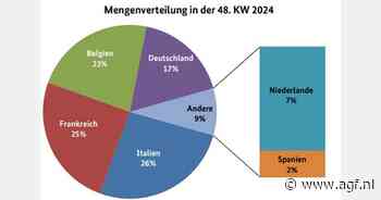 Italiaanse bloemkool domineerde de Duitse markt