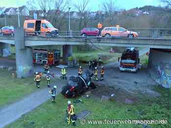 Pkw mit drei Insassen samt Hund stürzt von Brücke