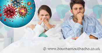 Pharmacist warns of the ‘big four’ winter bugs threatening to wreck Christmas