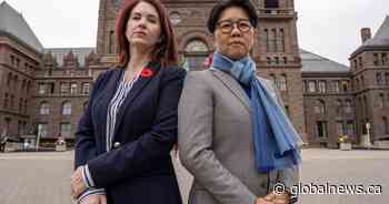 ‘Insulting’: Intimate partner violence study cut short by Ontario committee