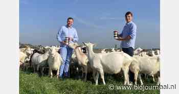 "Wat een rollercoaster was het jaar 2024"