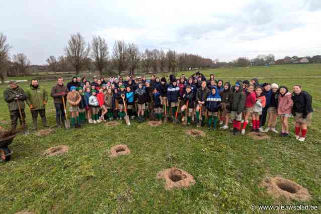 Tweede aanplantactie Zavelput met 18.000 bomen groot succes