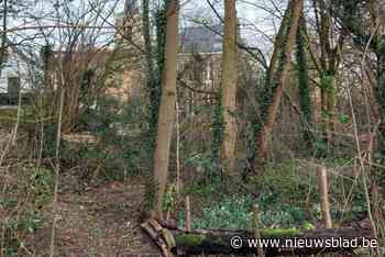 Vergunning om van voormalige pastorietuin buurtpark te maken ligt op tafel