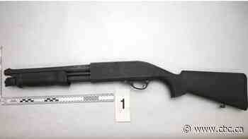 Hamilton woman charged after police say she struck someone with a shotgun